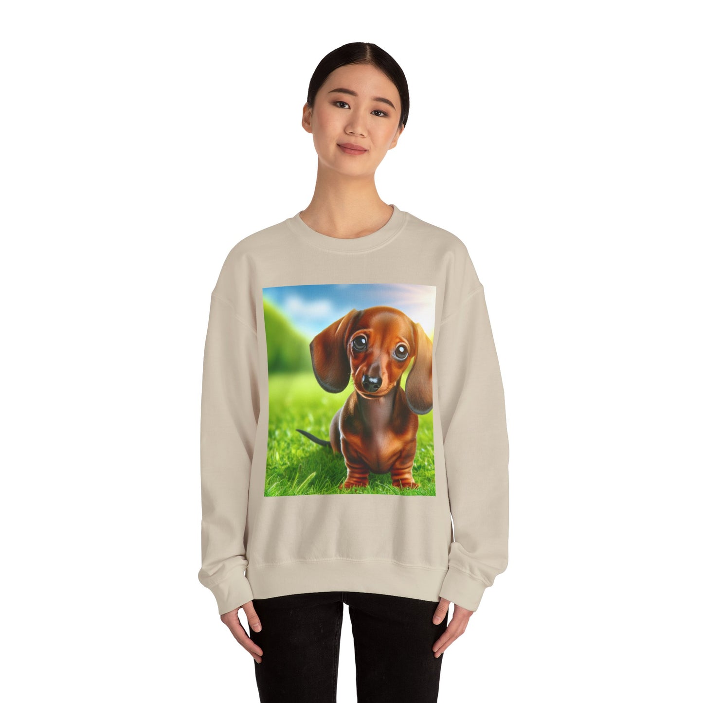 Cute Dachshund Graphic Sweatshirt, Dog Lover Gift, Cozy Pet Apparel, Casual Outfit, Warm Layering Sweatshirt