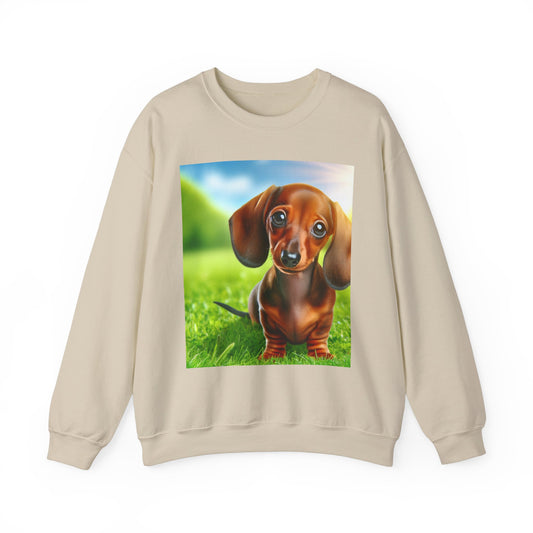 Cute Dachshund Graphic Sweatshirt, Dog Lover Gift, Cozy Pet Apparel, Casual Outfit, Warm Layering Sweatshirt